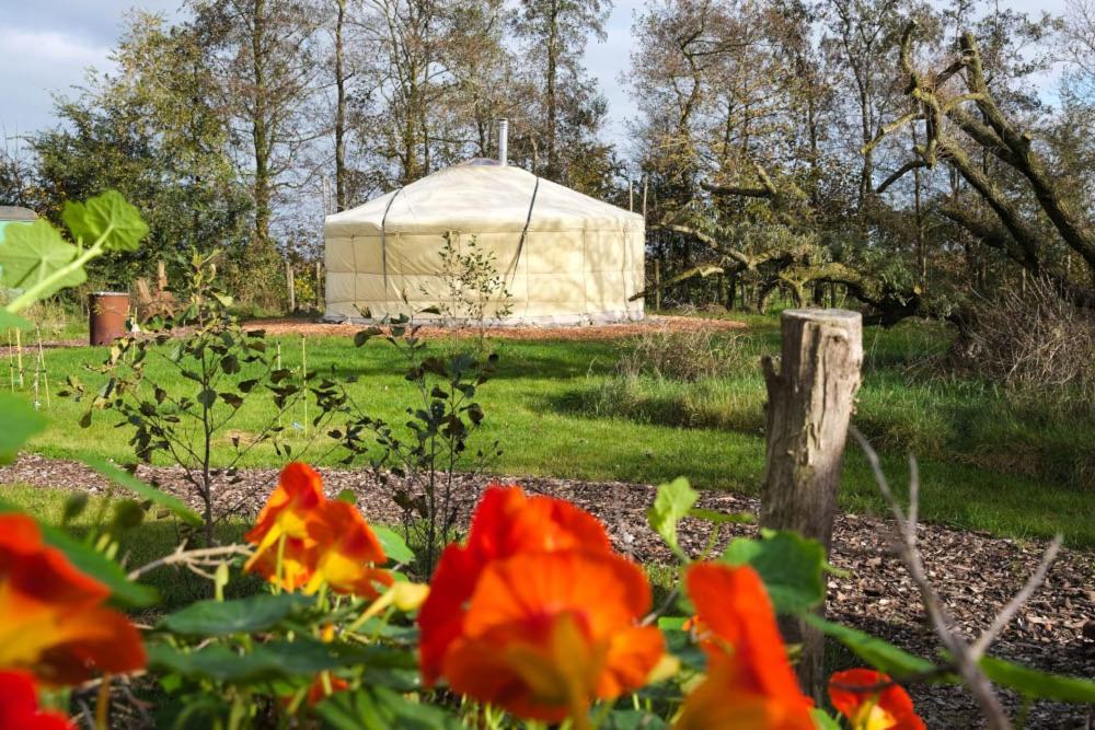VeenwoudsterwalYurt Klyndobbe住宿加早餐旅馆 外观 照片
